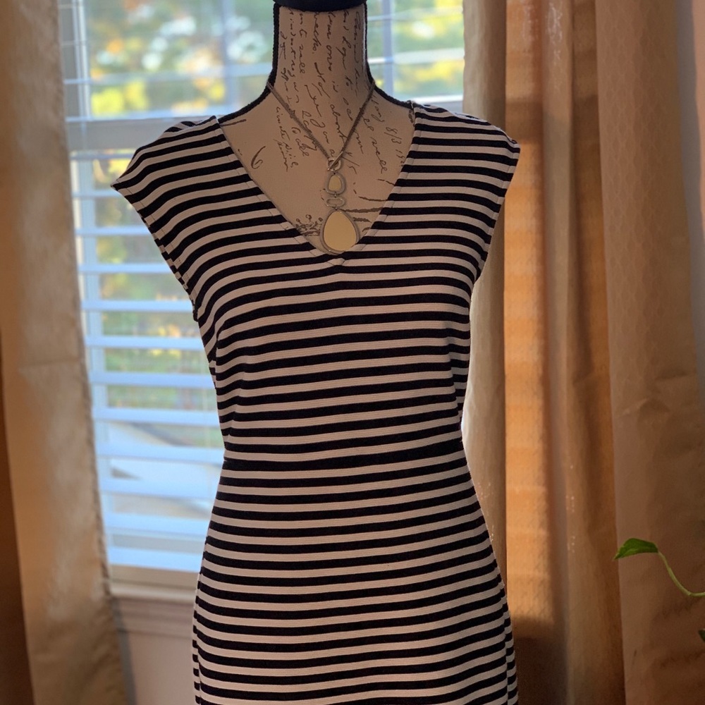 Ann Taylor Sheath Dress